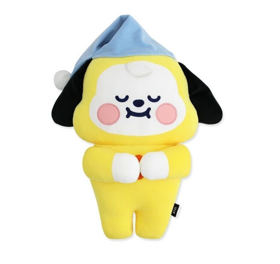 bt21 dream cushion