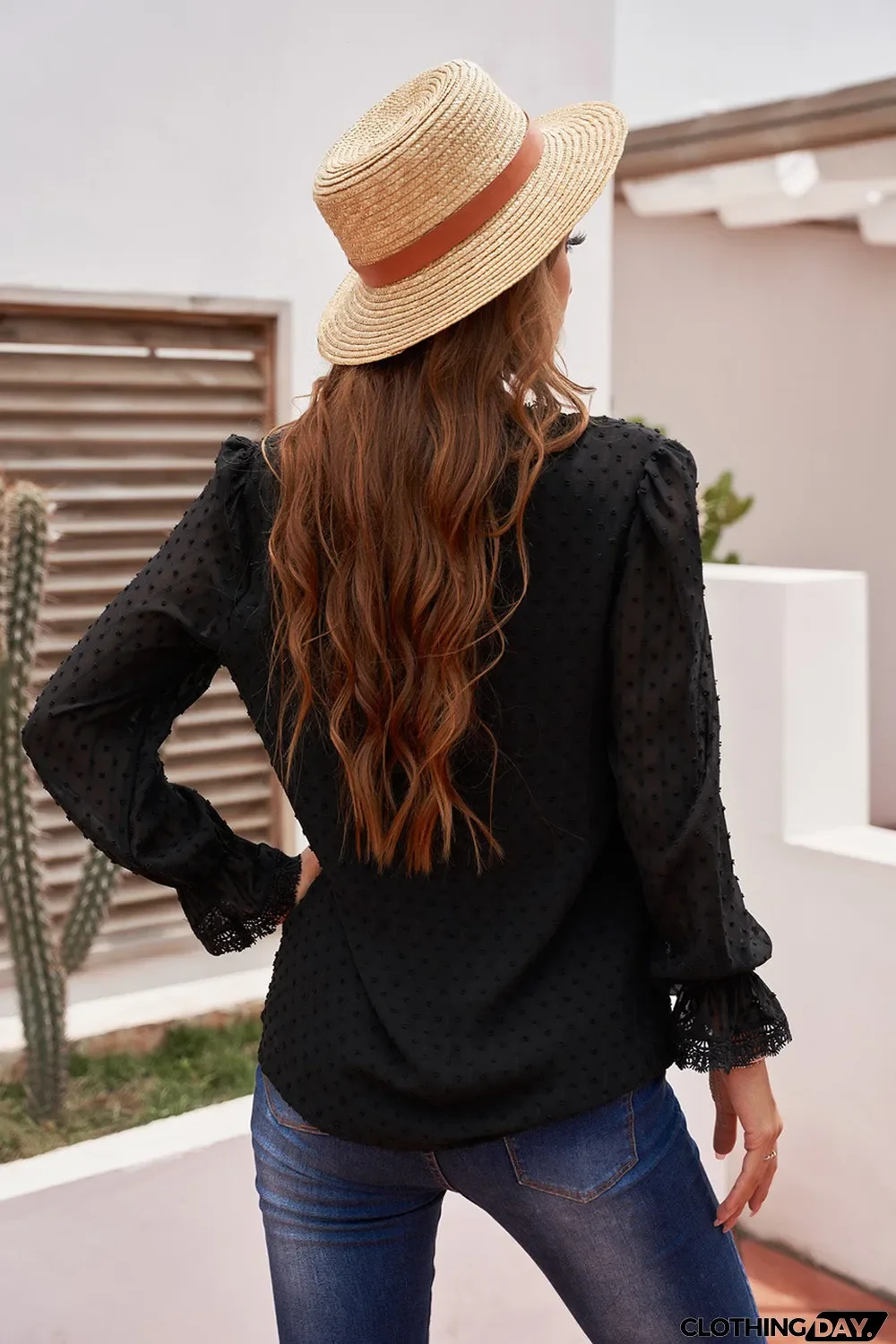 Elegant V-Neck Swiss Dot Lace Blouse