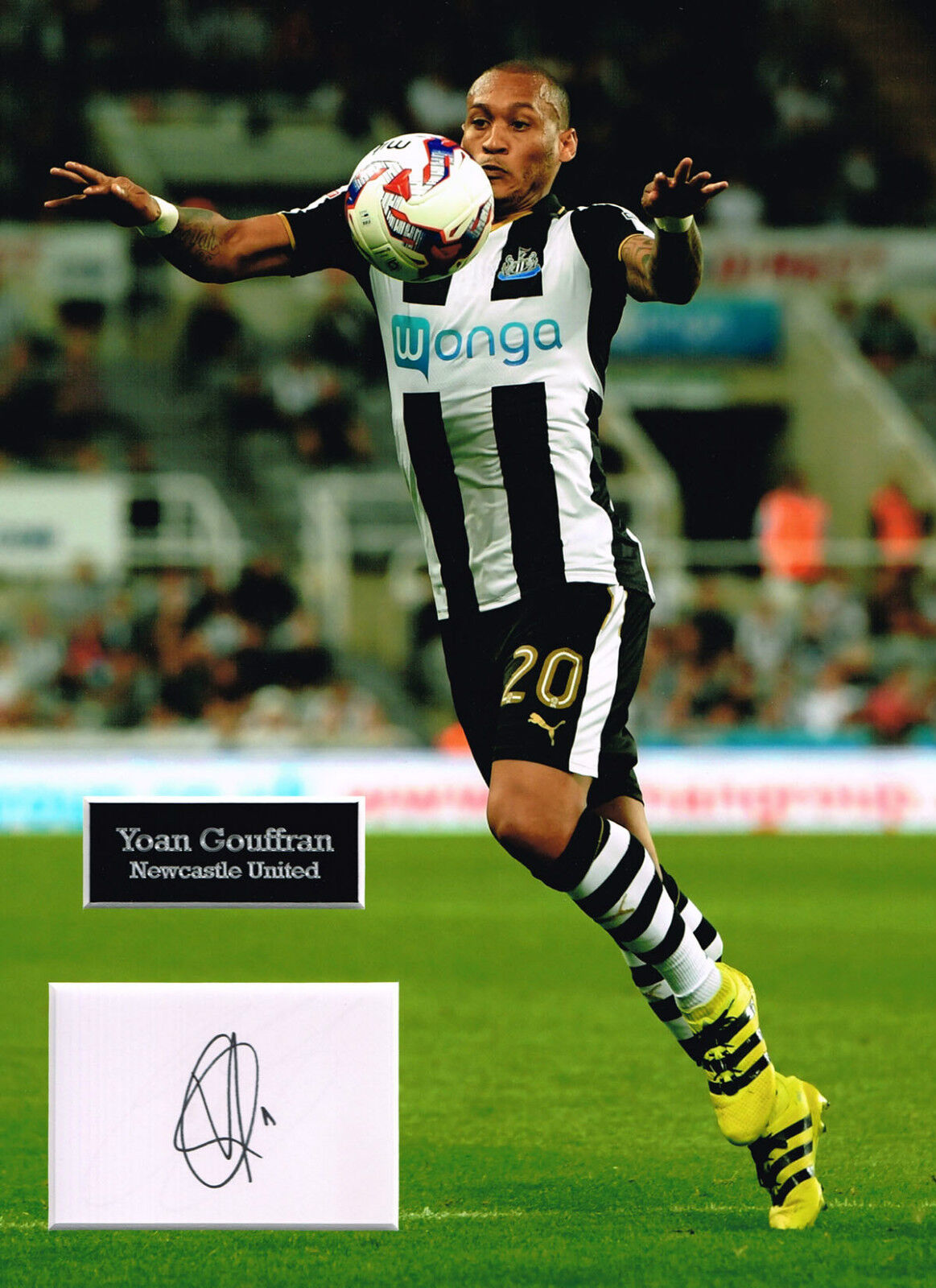 Yoan GOUFFRAN SIGNED Autograph 16x12 Photo Poster painting Mount AFTAL COA Newcastle United