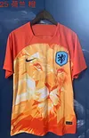 2024 Netherlands Special Edition Orange Football Shirt 1:1 Thai Quality