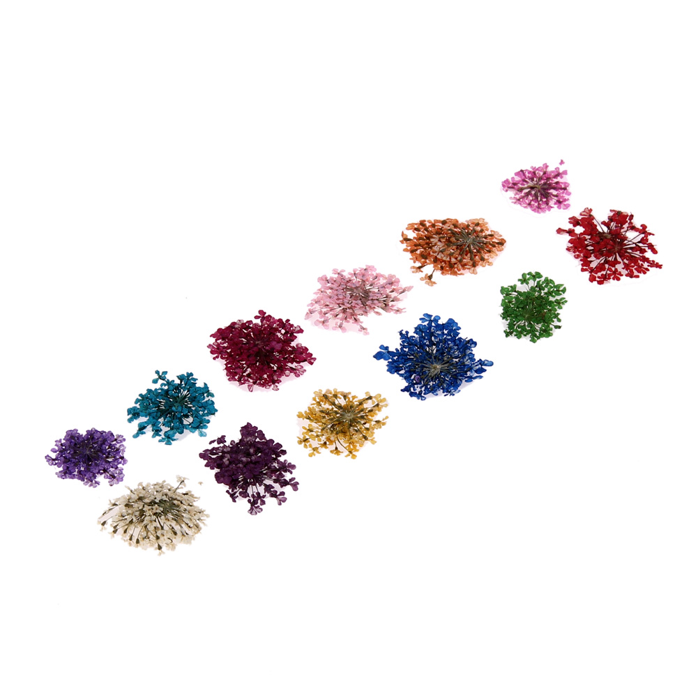 

12 Lattice/Color 3D Dried Flower Nail Art Decal Dry Flowers Manicure, 501 Original