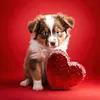 Love Dog Cat-Full Round Diamond Painting 30*30CM