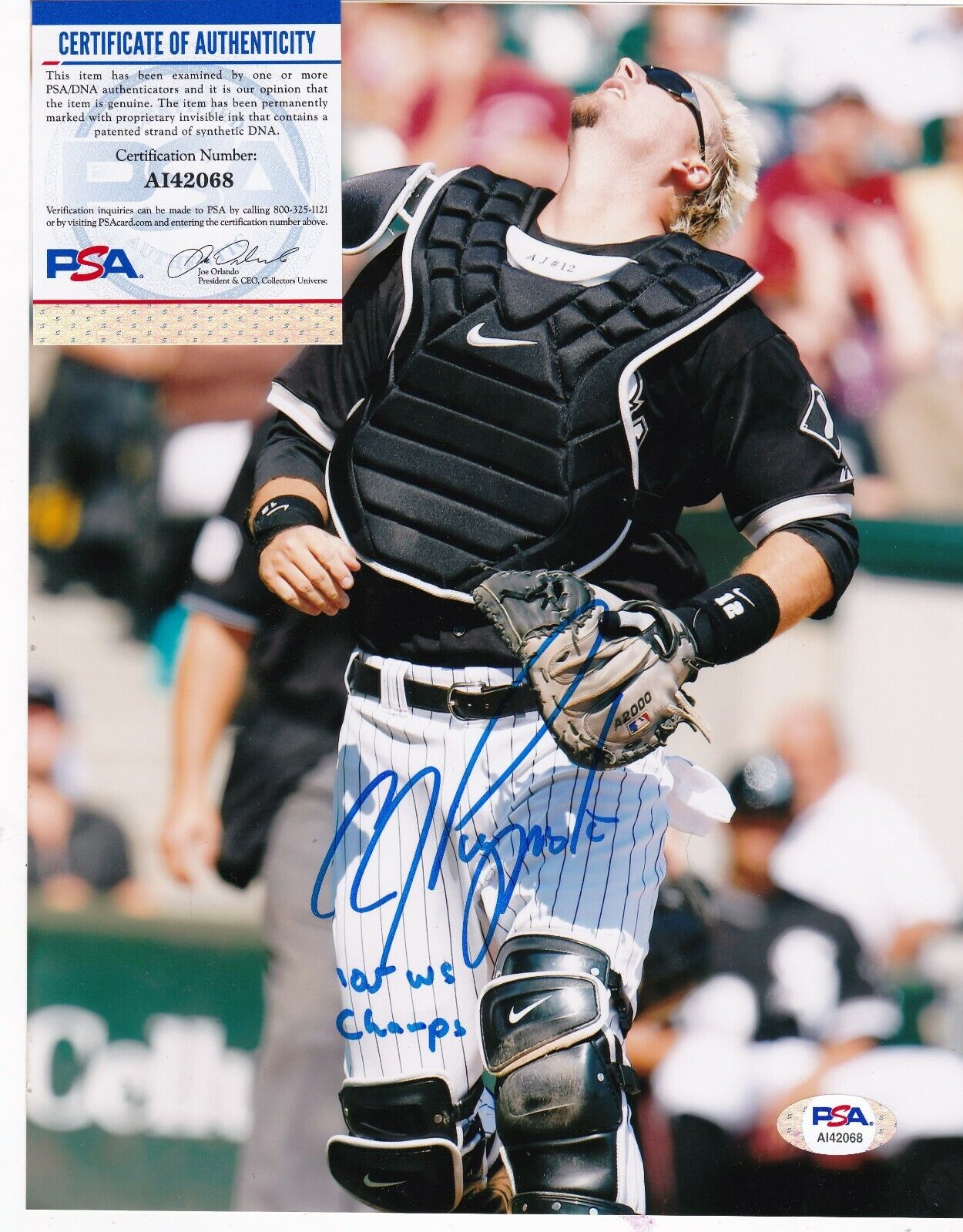 A.J. PIERZYNSKI CHICAGO WHITE SOX 05 WS CHAMPS PSA AUTHENTICATED SIGNED 8x10