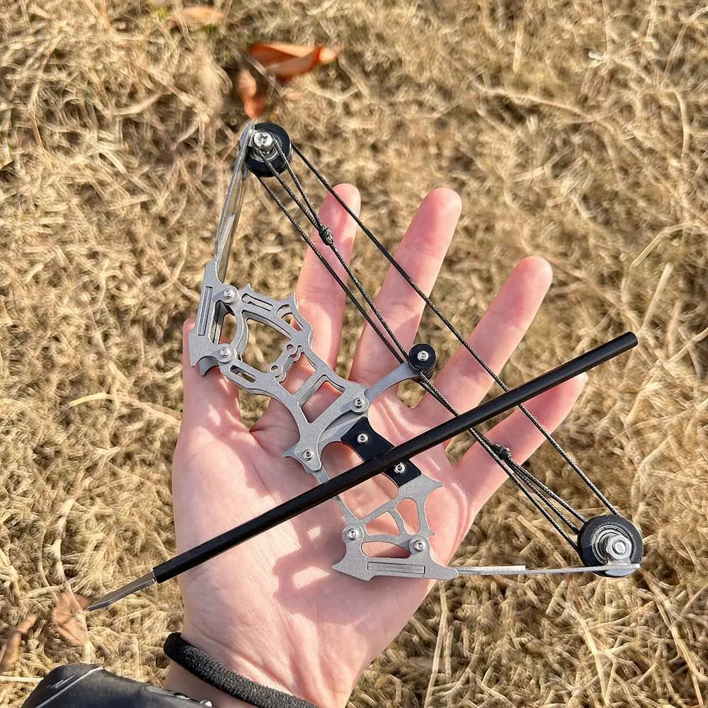 ✨Summer Sale 40% OFF💥 Mini Bow and Arrow Set-Buy Two Free Shipping!