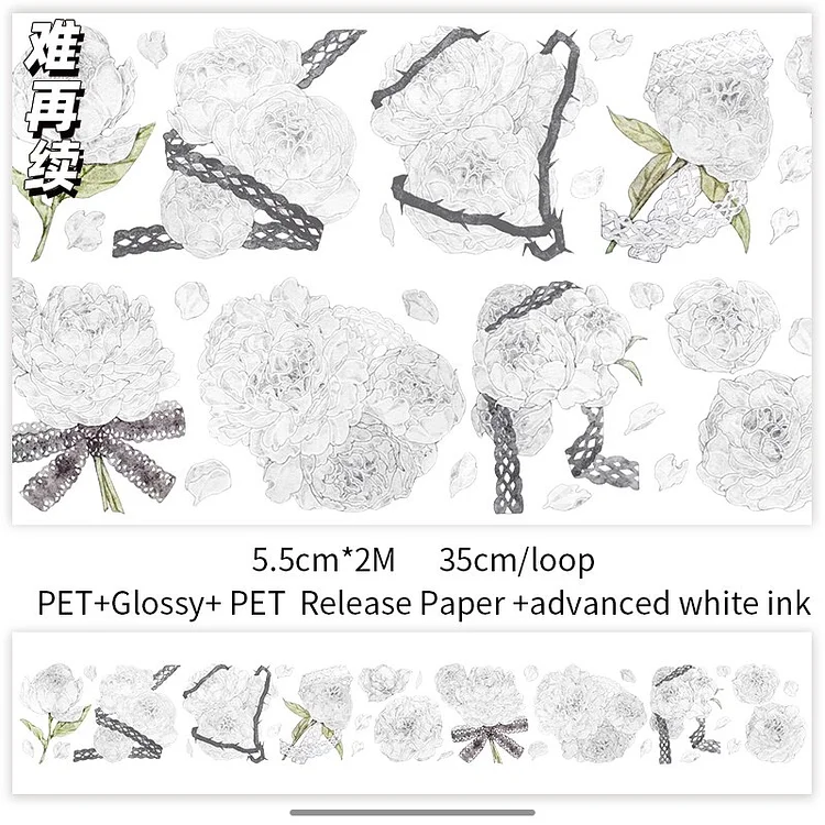 JOURNALSAY 5/6 Rolls/Set Transparent PET Washi Tape 2m Cute Journal DIY  Scrapbooking