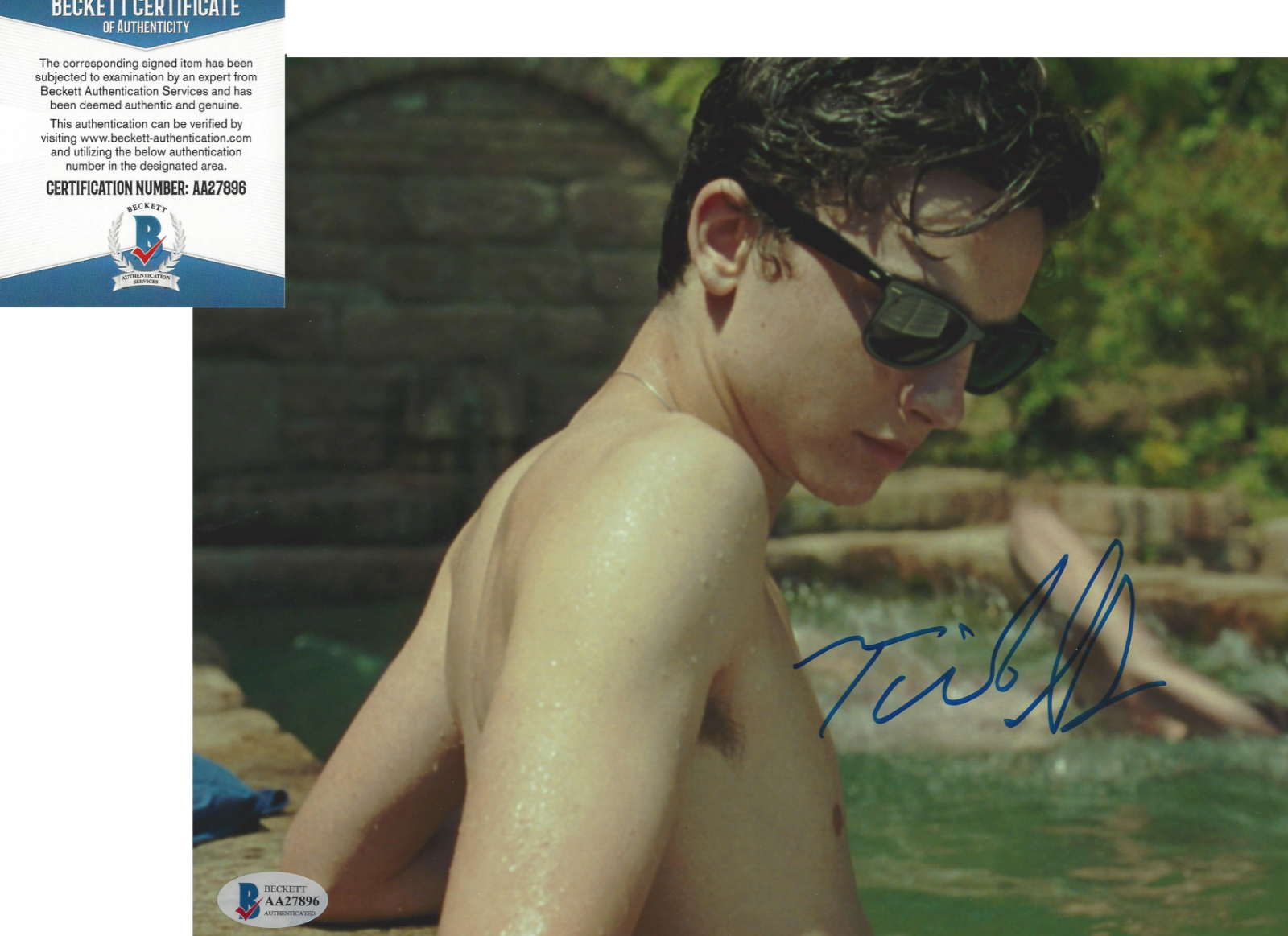 TIMOTHEE CHALAMET SIGNED CALL ME BY YOUR NAME 8x10 MOVIE Photo Poster painting A BECKETT BAS COA