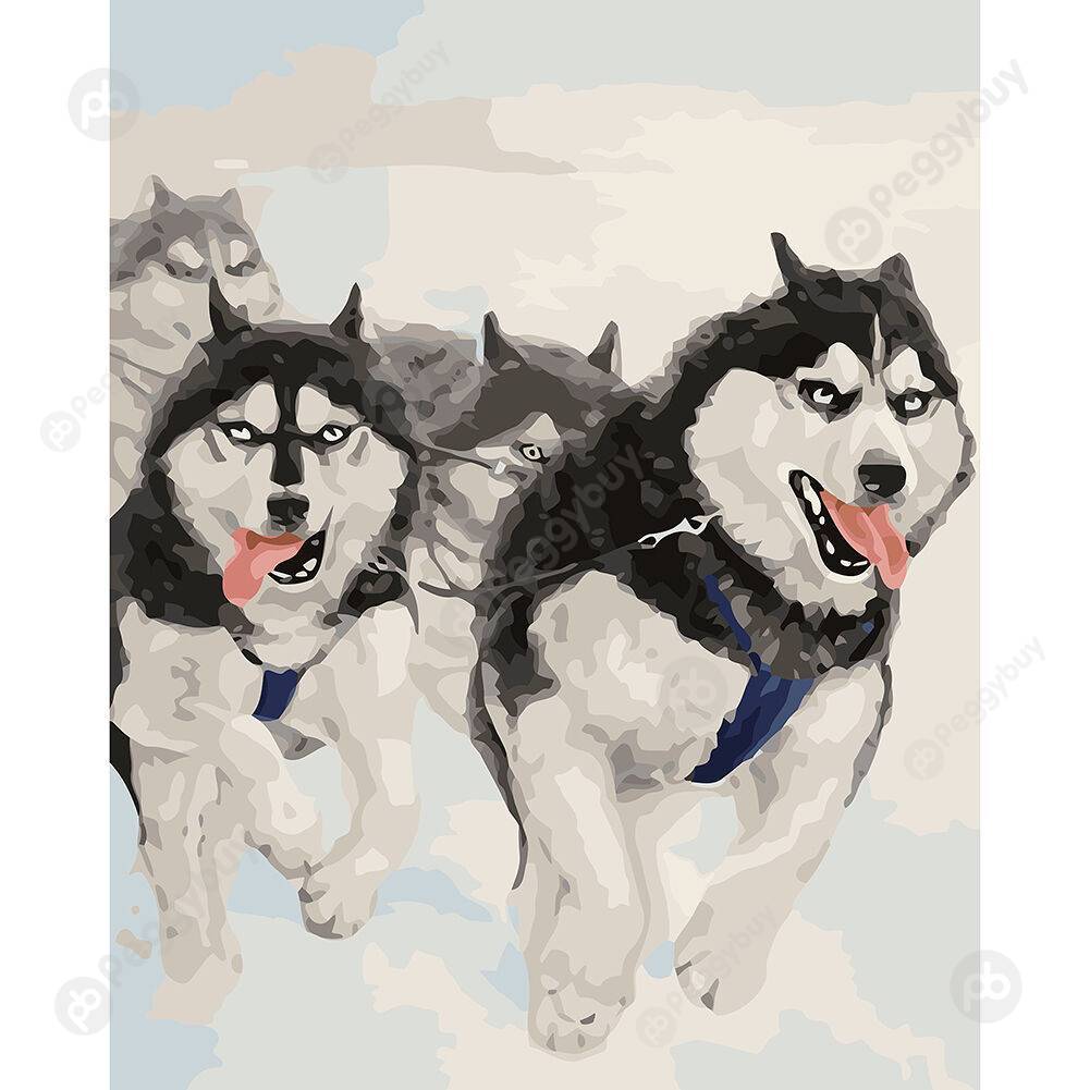

40*50CM Paint By Numbers-Wolf, 501 Original