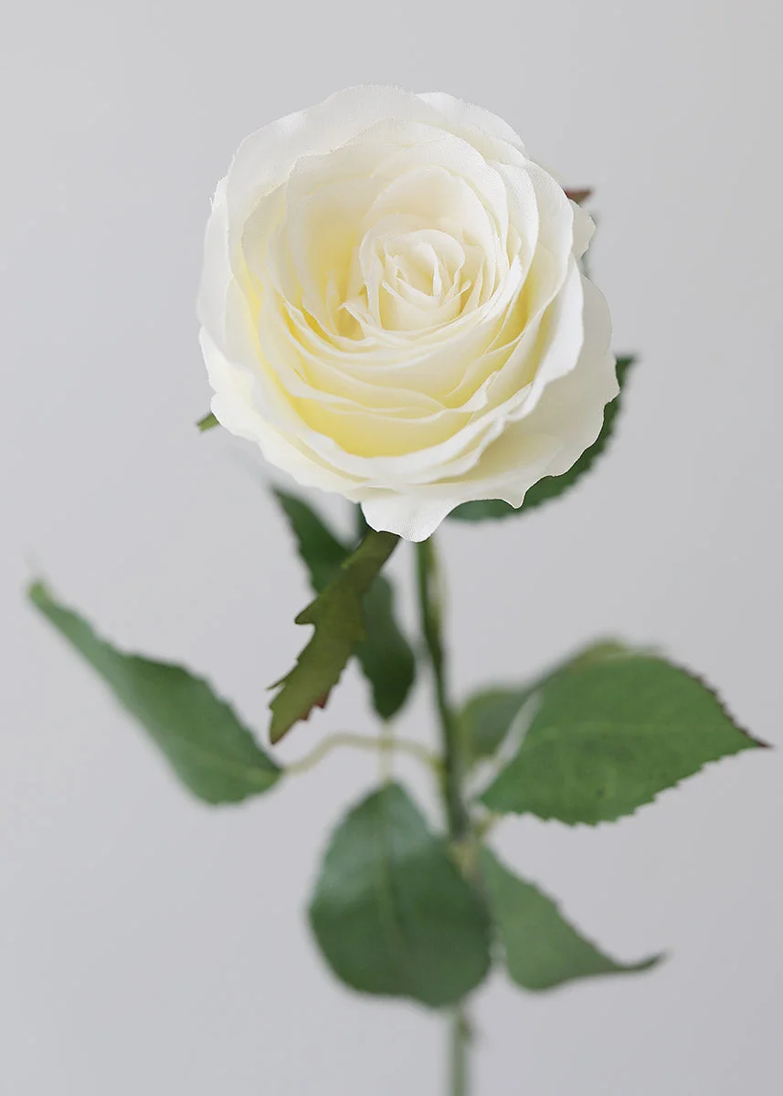 Cream Fake Cottage Rose Bud - 27.5"