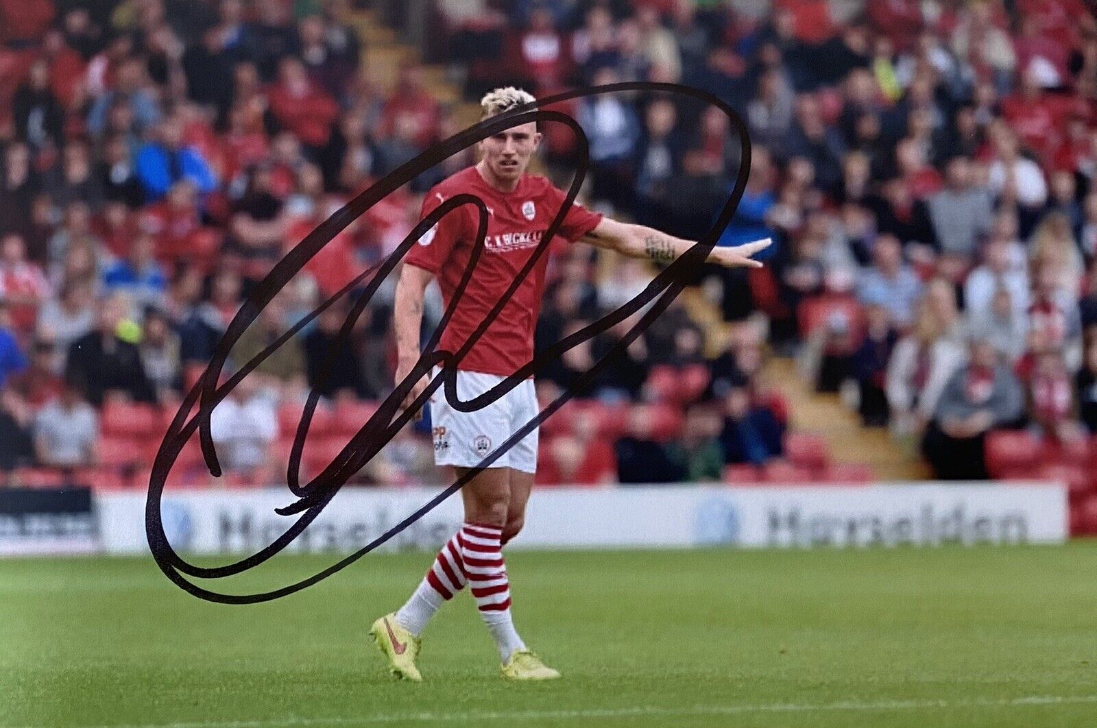 Angus MacDonald Genuine Hand Signed Barnsley 6X4 Photo Poster painting