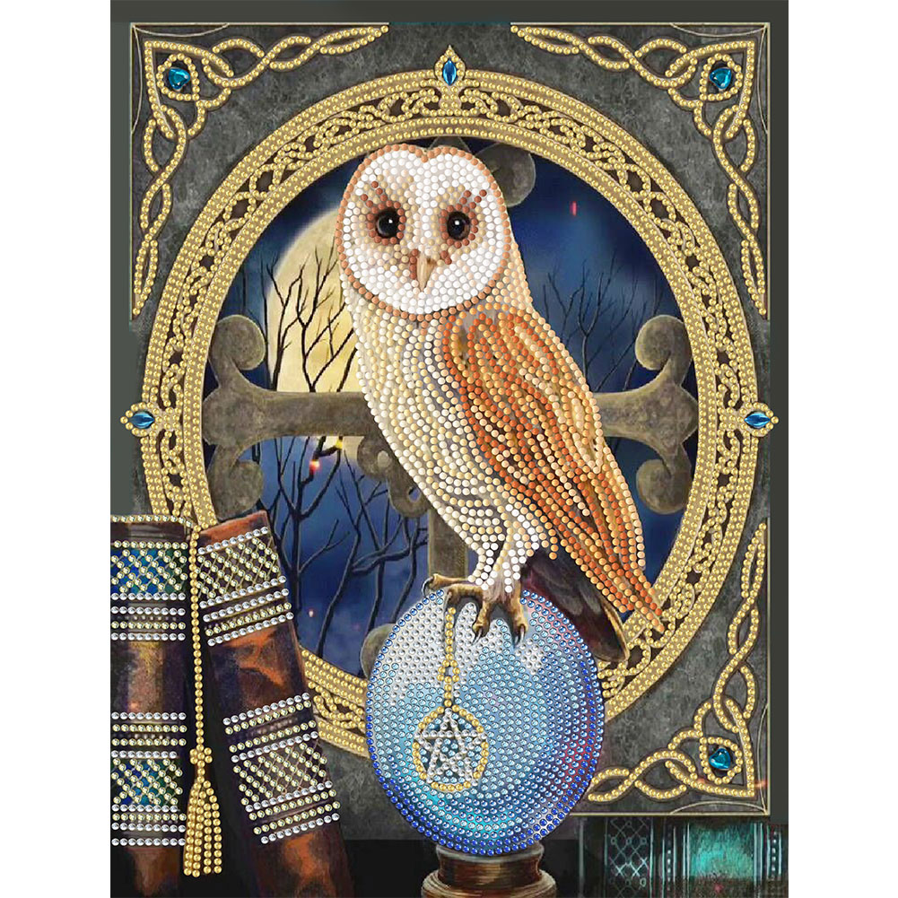 

Owl - Special Shaped Diamond Painting - 30*40CM, 501 Original