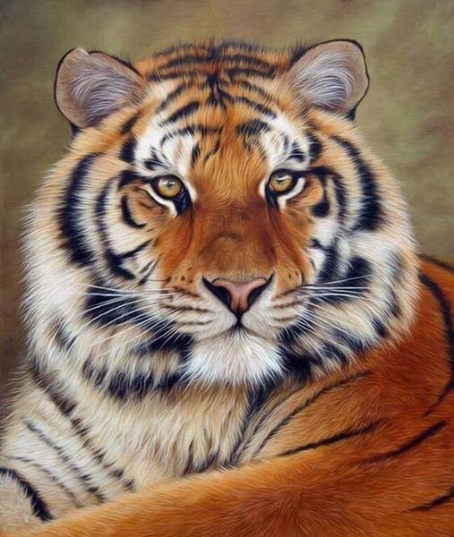 Animal Tiger Paint By Numbers Kits UK For Adult HQD1268