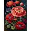 Poppy Flower - 11CT Stamped Cross Stitch - 40*55cm - Flower