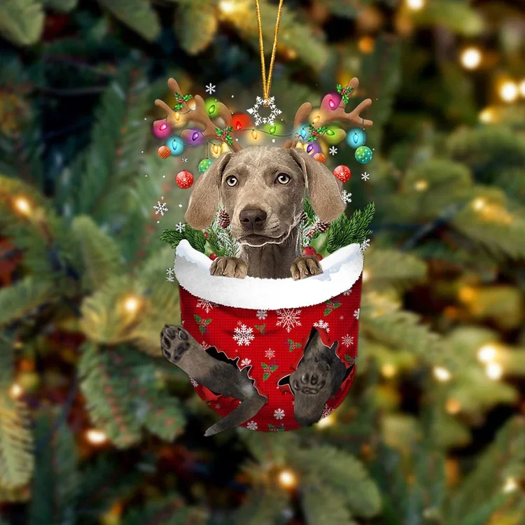Weimaraner 2 In Snow Pocket Christmas Ornament trabladzer
