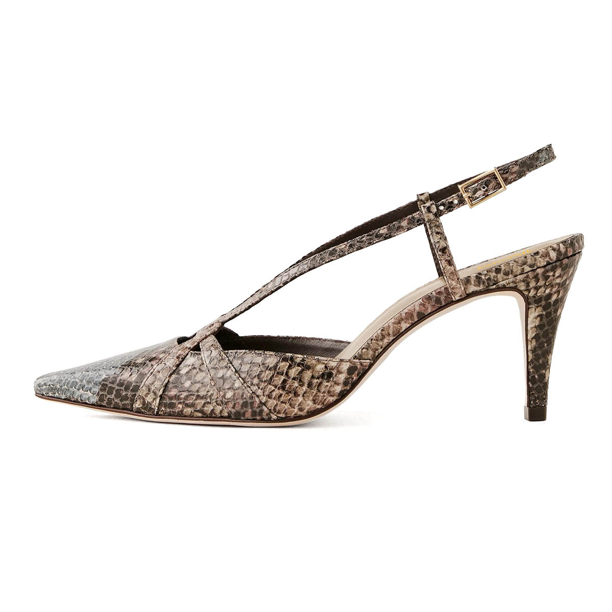 Clasic Snakeskin Pattern Closed Toe Buckled Women's Slingback Pumps Nicepairs