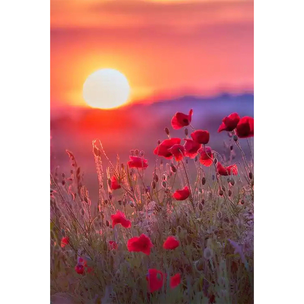 

30*40CM - Round Drill Diamond Painting - Corn Poppy, 501 Original