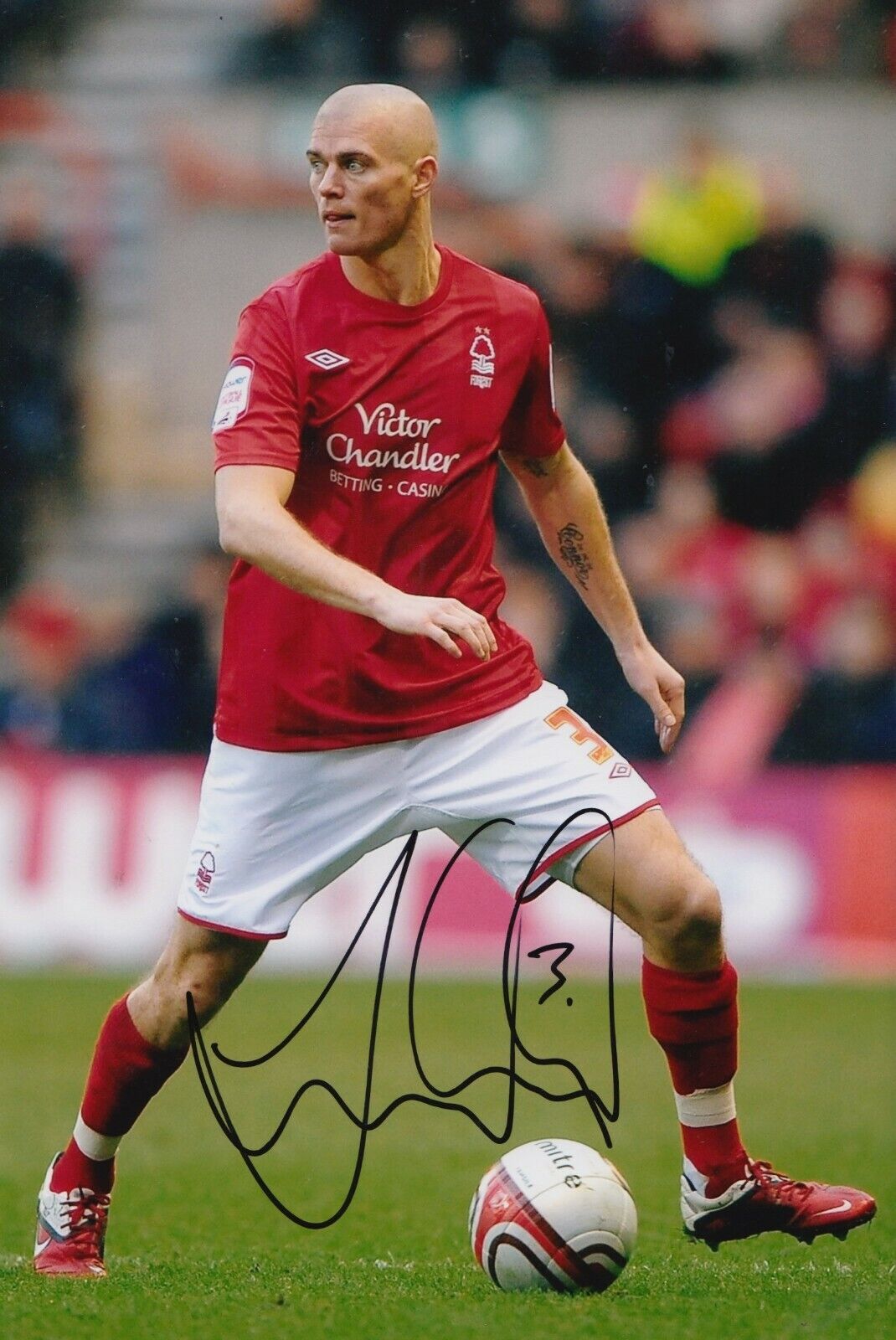 Paul Konchesky Hand Signed 12x8 Photo Poster painting - Nottingham Forest Autograph 3.