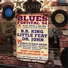 Blues - Vintage Metal Signs - 20*30cm/30*40cm - Music