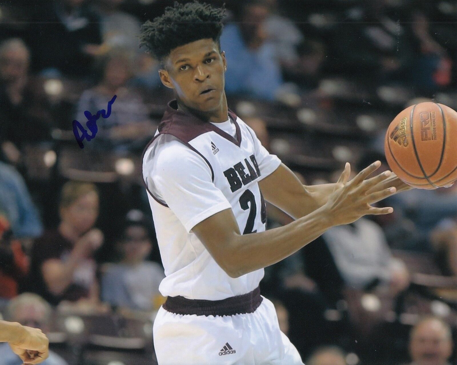 ALIZE JOHNSON signed (MISSOURI STATE BEARS) basketball 8X10 Photo Poster painting W/COA #4