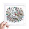 5D DIY Partial Special Shaped Drill Diamond Painting Kit Peacock Decor With Frame Kit 18x18cm