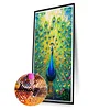 Peacock - Diamond Painting - Full Round Drill (Canvas|40*70cm)
