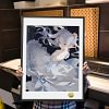 A3 & 4K Size Noble Maiden Frieren Decorative Painting - Frieren: Beyond Journey's End - HuangGua Studio