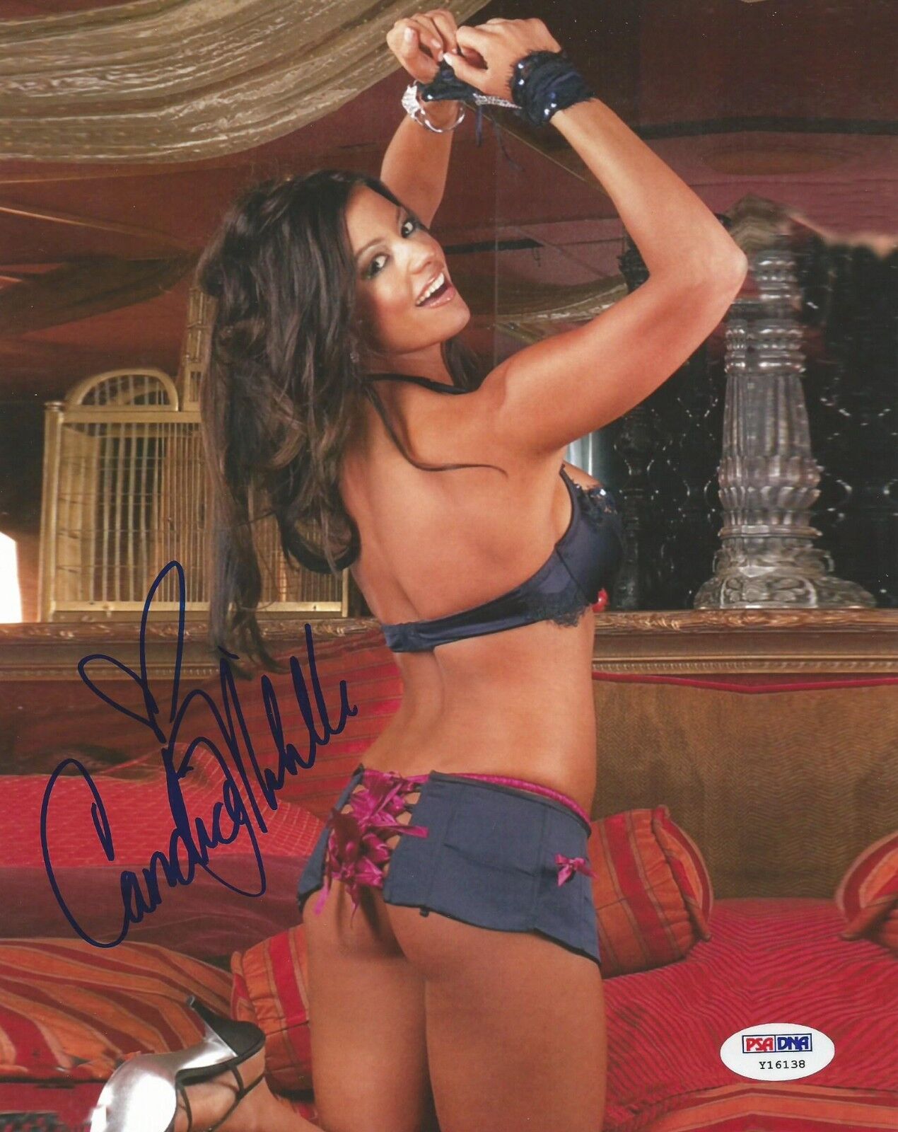 Candice Michelle Signed Playboy 8x10 Photo Poster painting PSA/DNA COA WWE Diva Picture Auto'd L