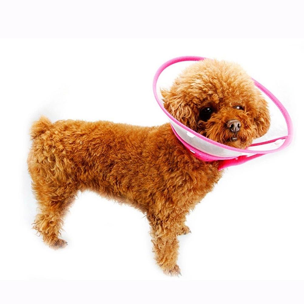 

Dog Cat Wound Recovery Cover Pet Anti-Bite Lick Medical Circle Cone Collar, Green, 501 Original