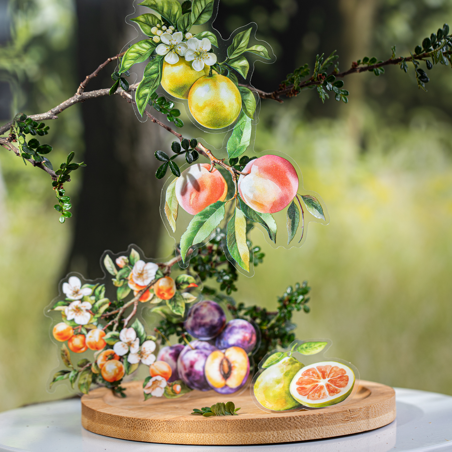 PET 스티커 - 꽃 과일 시리즈 빈티지 식물 과일 풍경