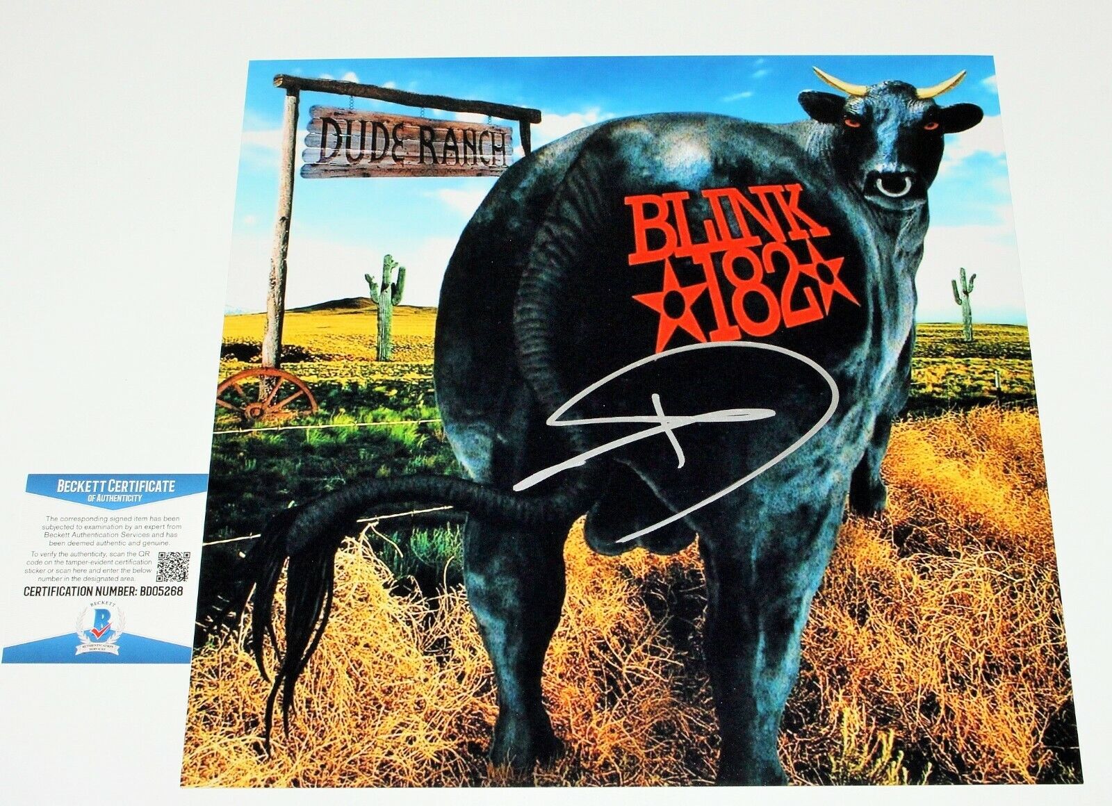 TOM DELONGE BLINK-182 SIGNED 'DUDE RANCH' 12x12 ALBUM FLAT Photo Poster painting BECKETT COA