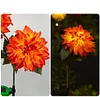 Solar Garden Decorative Light LED Rose Shape Stake Light for Garden Yard Backyard Waterproof