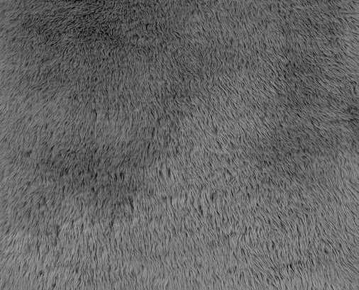 Men's Warm Plush Button-Down Pullover