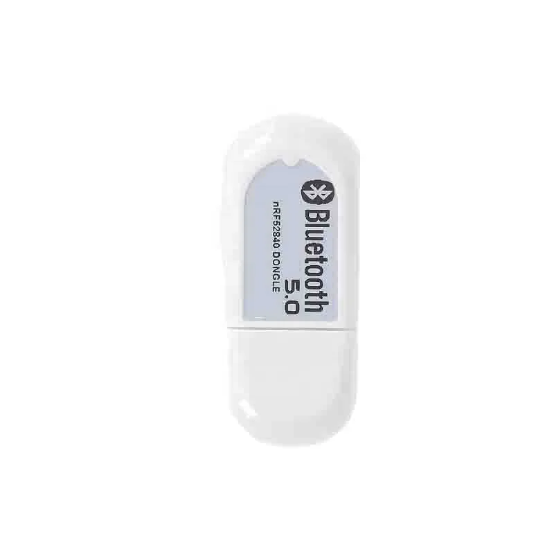 BLE Mesh ZigBee ANT 2.4GHz BLE 5.0 USB Dongle BLE 5.0 USB Adapter with Housing NRF52840 Dongle