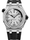 DIVER Siver-Toned Dial 42mm