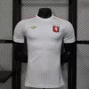 25/26 Player Lyon Special Edition White Soccer Jersey