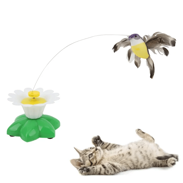 (Summer Hot Sale Now48 OFF)Electric bird teasing cat toy