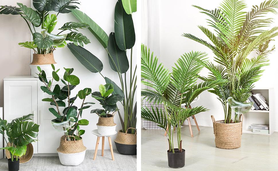 plant watering globe for indoor