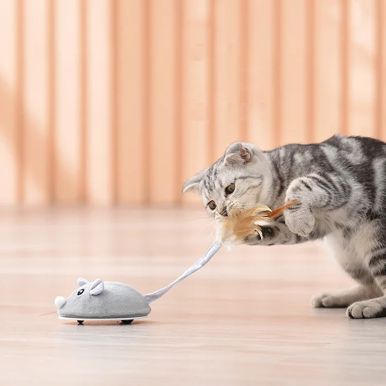 Electronic Motion Cat Toy Interactive Mouse With Feather Teaser 1