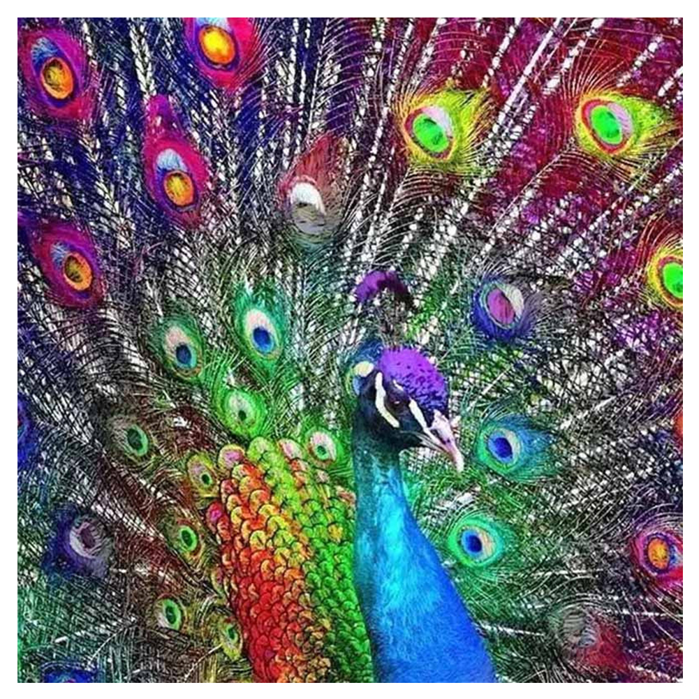 

Peacock-Square Diamond Painting-40X40CM, 501 Original