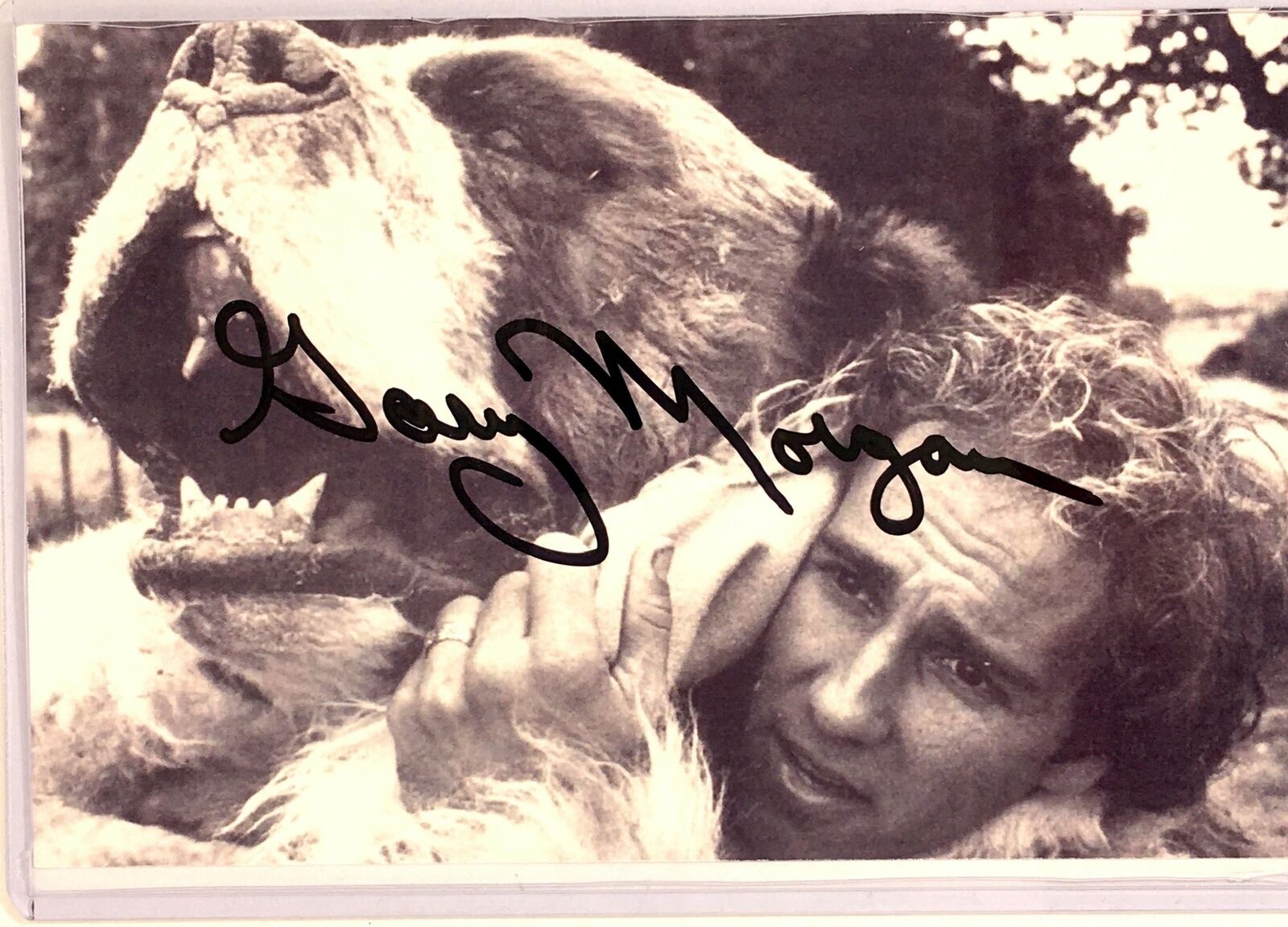 Gary Morgan Signed 4x6 Actor Photo Poster painting Cujo The Mask of Zorro Autograph Auto