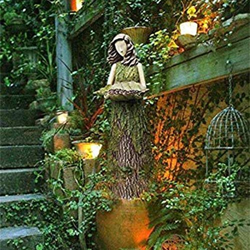 sherwood fern