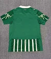 2025/2026 Palmeiras Home Jersey 1:1 Thai Quality