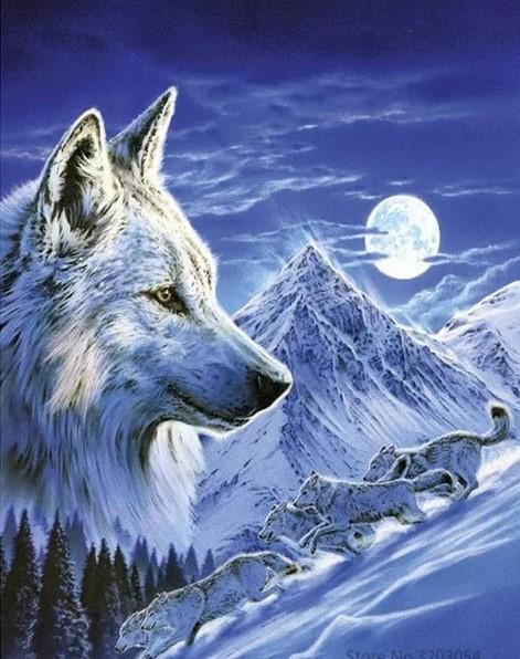 

Full Moon Wolf- Paint By Numbers - 40*50CM, 501 Original