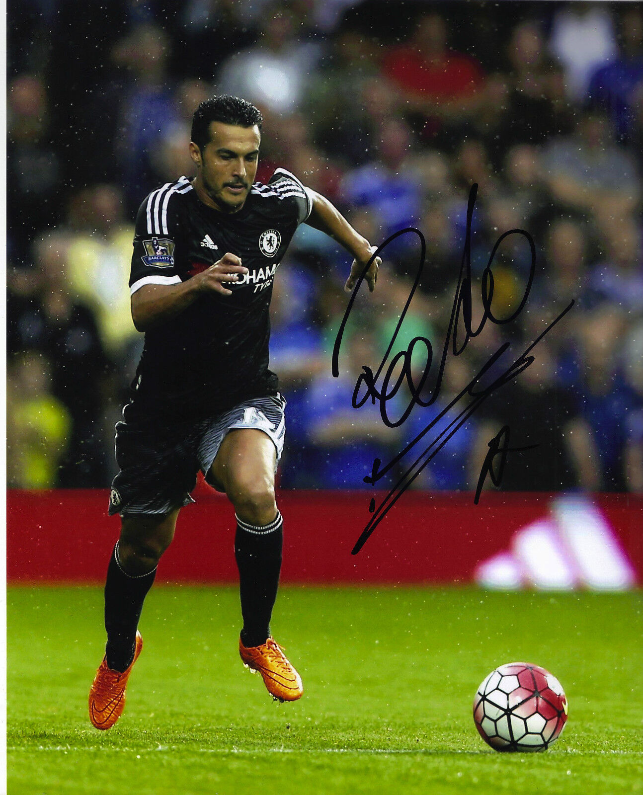 Pedro Signed 10X8 Photo Poster painting Chelsea F.C. GENUINE Autograph AFTAL COA (1302)