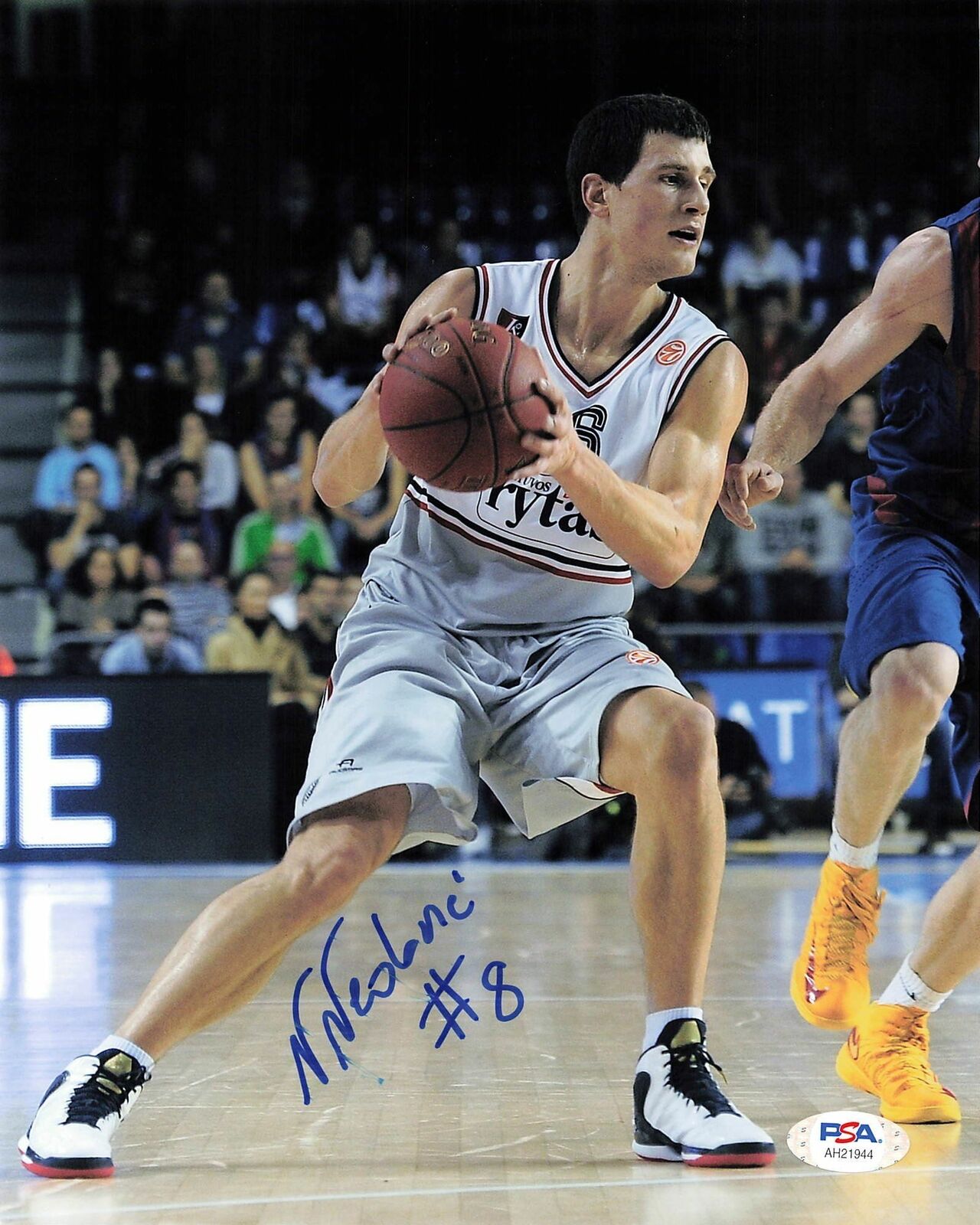 Nemanja Nedovic signed 8x10 Photo Poster painting PSA/DNA Warriors Autographed