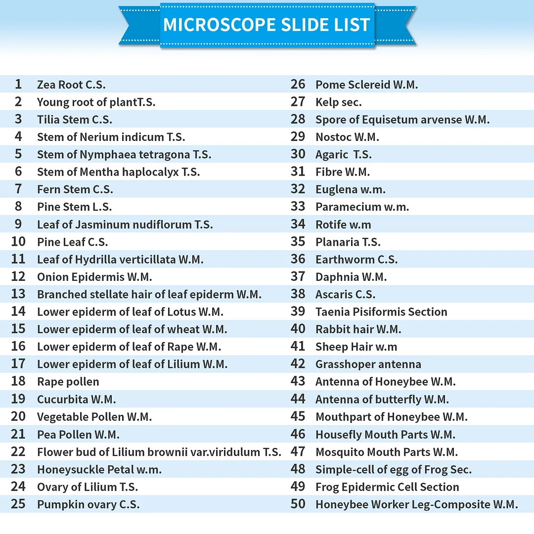 BEBANG 120Pcs Prepared Microscope Slides for Kids, Glass Microscope Slides with Specimens of Insect Plant Animal Bacteria Human Tissue Cell