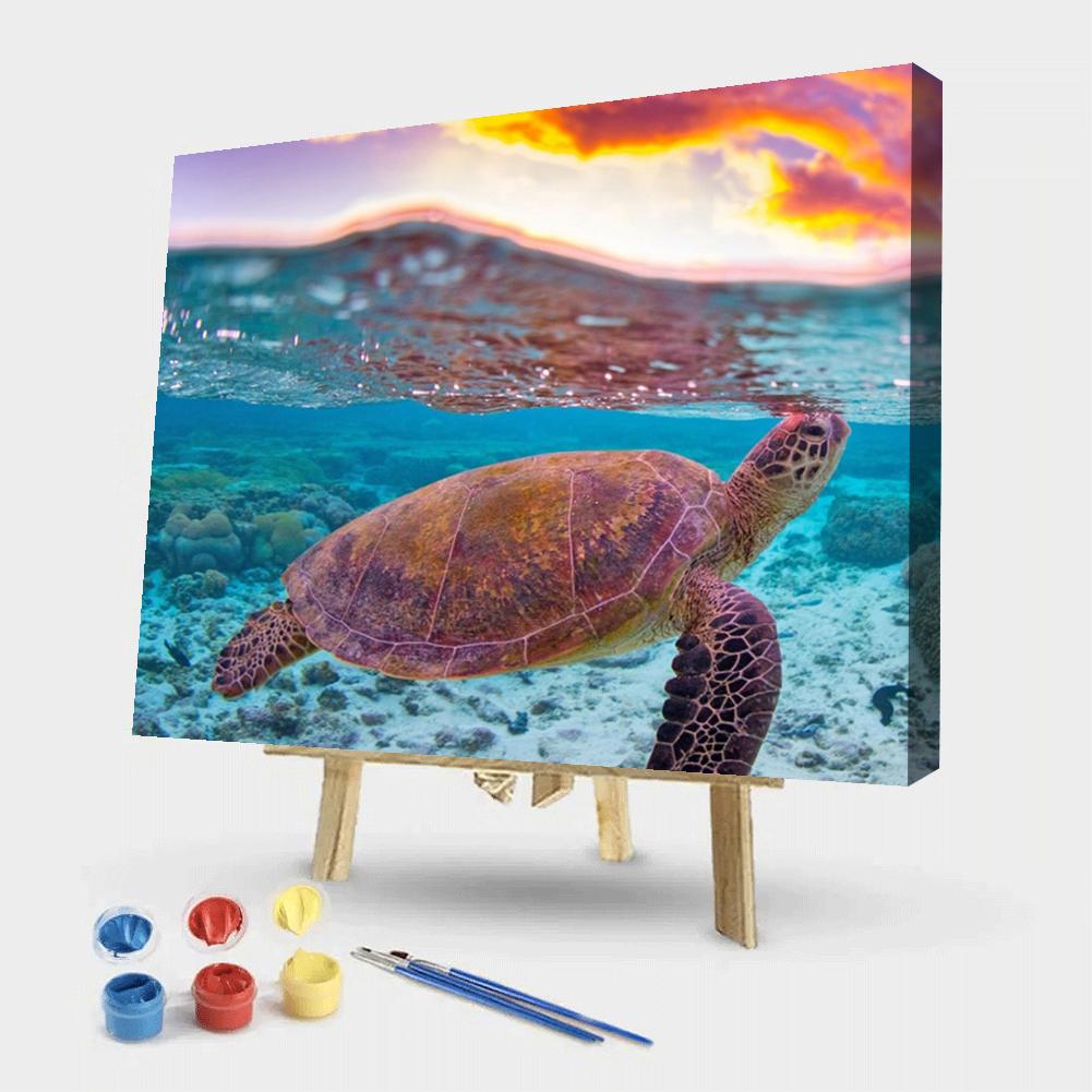 Sea ​​Turtle - Painting By Numbers - 50*40CM gbfke