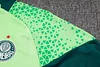 Joyfball 2024/2025 Palmeiras Half-Pull Training Suit Green Football Shirt 1:1 Thai Quality