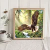 Diamond Painting-DIY Full Round Drill Eagle(30*30CM)