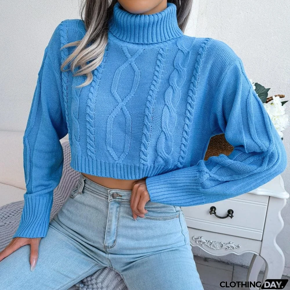 Mixed Knit Turtleneck Cropped Sweater
