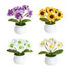4Pcs Potted Plants Crochet Kit DIY Crochet Starter Kit Crochet Set for Beginners